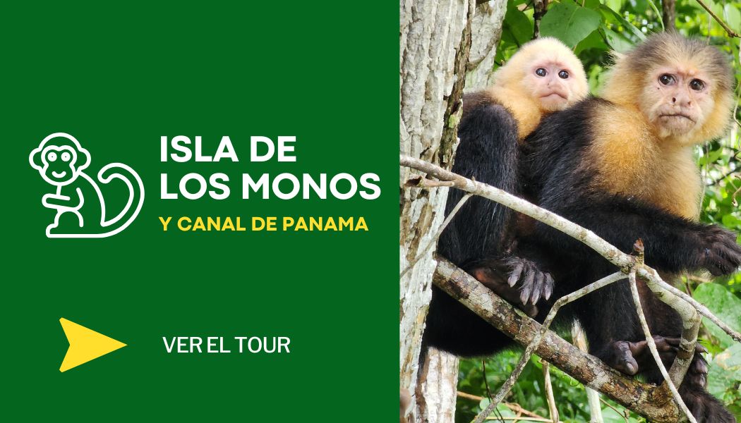 Gamboa e Isla de los Monos