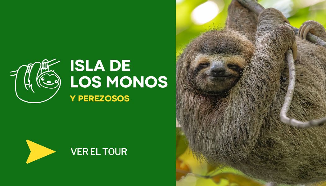 Isla de los Monos